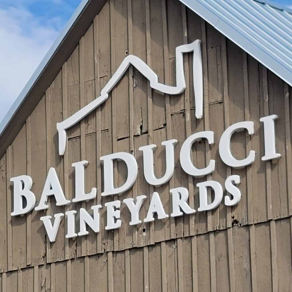 Balducci Vineyards