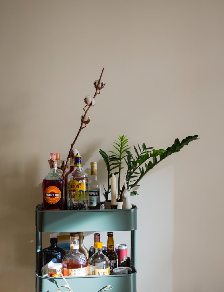 Bar cart filled with alcohol and plants