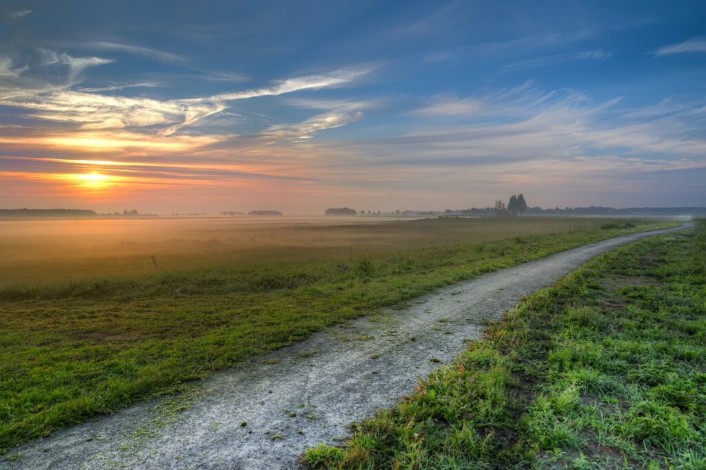 path, morning sunrise