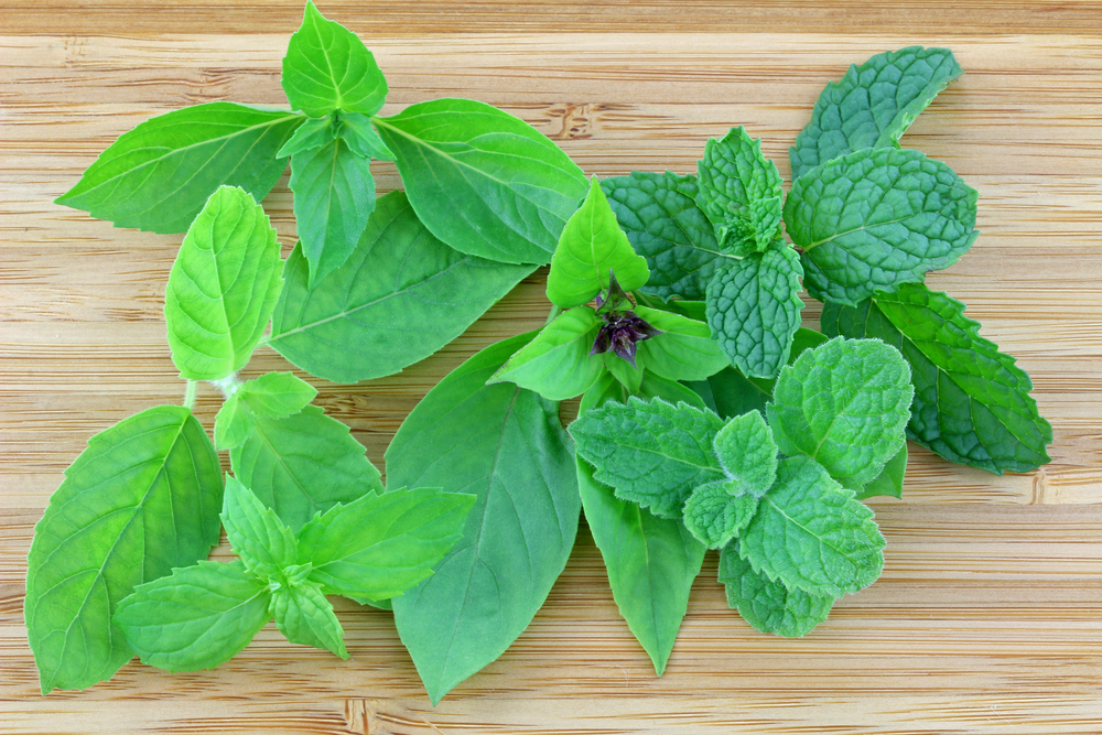 Basil and Mint Leaves on a cutting board