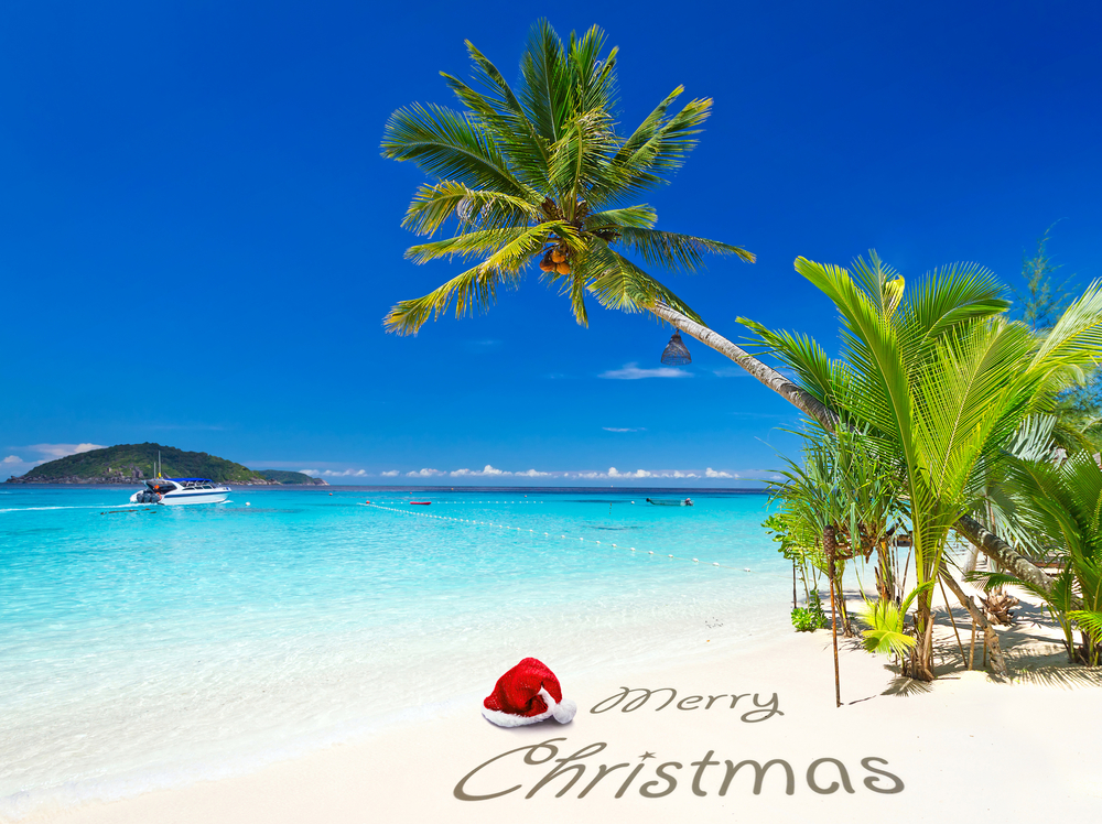 Holiday Birthday Caribbean Beach with palm tree