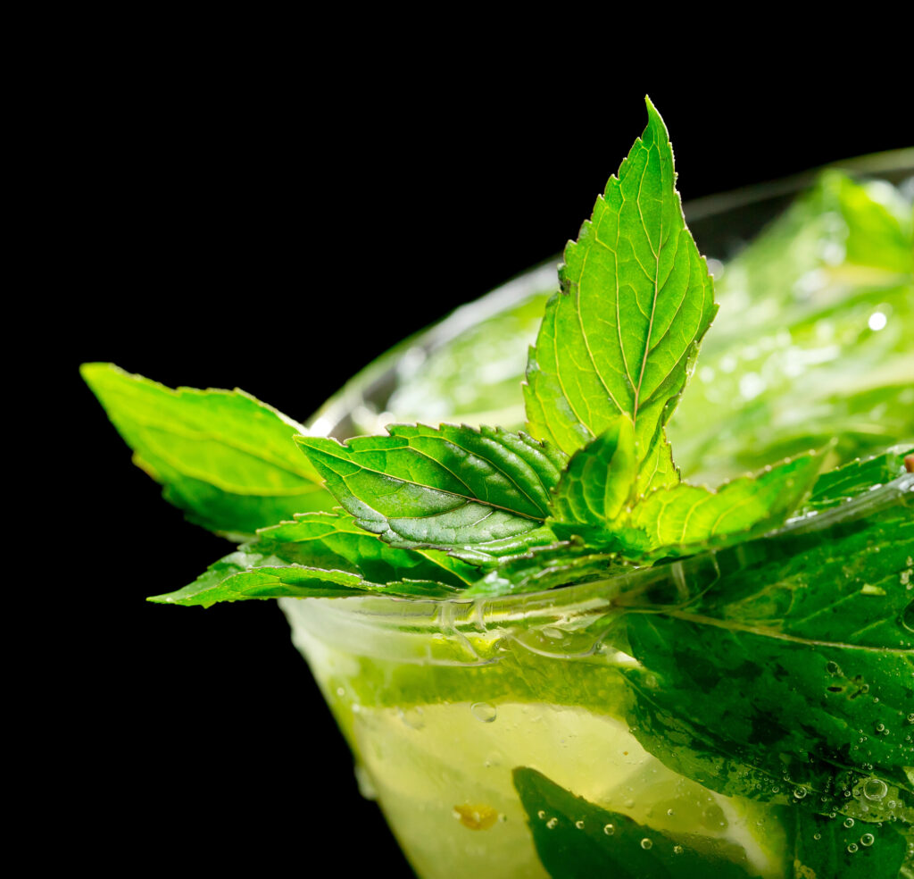 St. Patrick's Day Cocktails: Irish Mojito in a glass with mint and lemon.