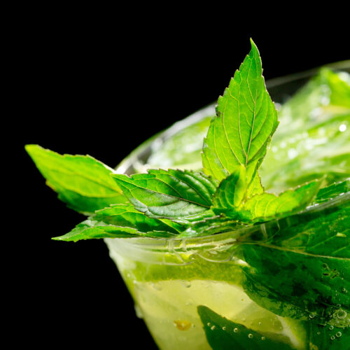 Mojito in a glass with mint and lime