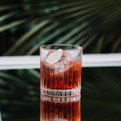 clear glass cup with black cat cocktail and ice