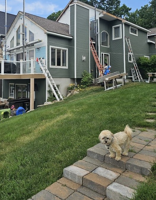 House under construction with dogs watching