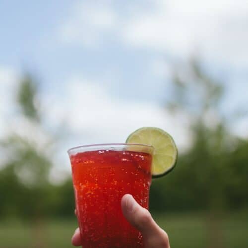 person holding drinking glass with red liquid