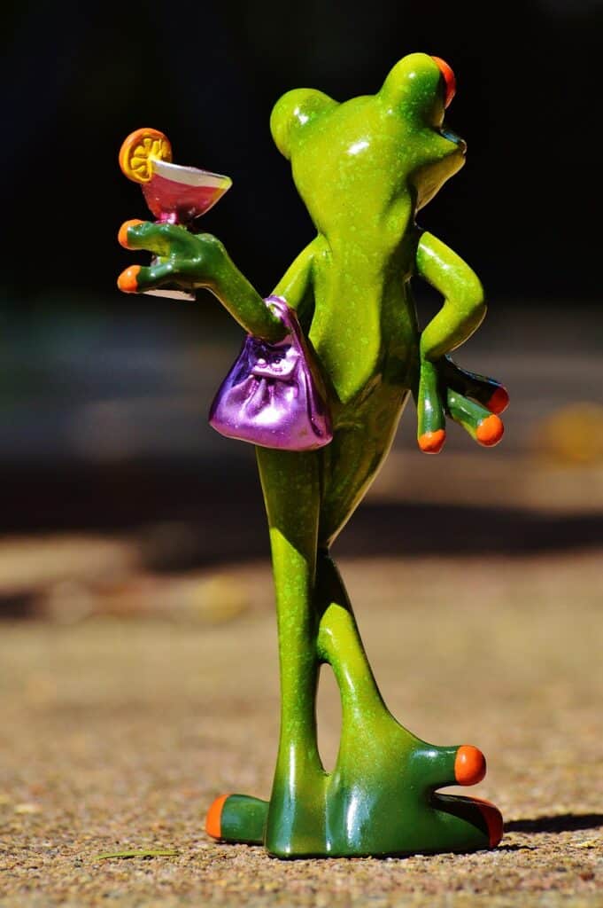 frog, chick, lady, arrogant, cocktail, fun