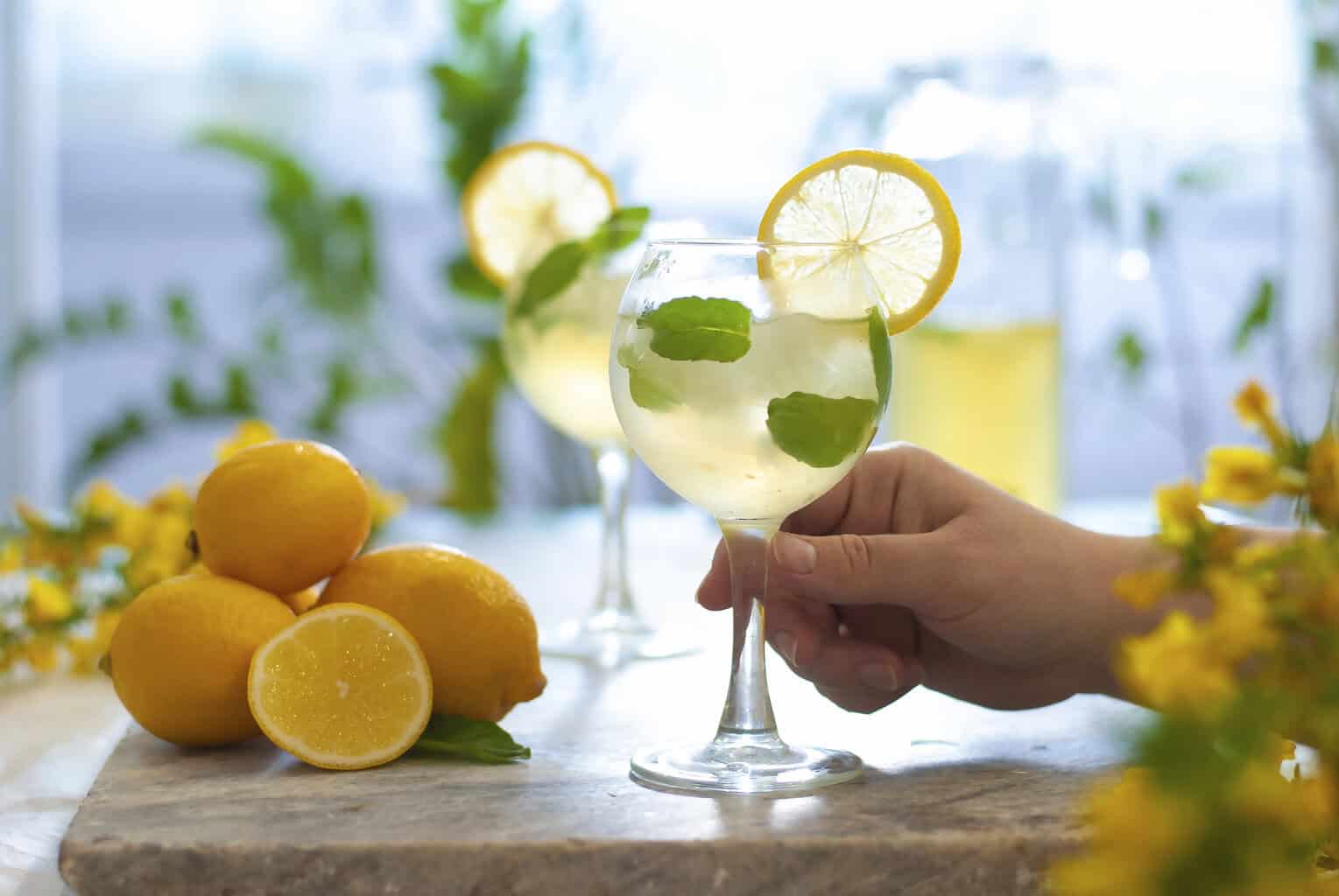 Hand holding a glass of limoncello Hugo Sprtz with mint with a lemon garnish, foreground on a table with lemons and yellow flowers in background